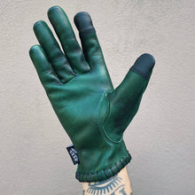 Load image into Gallery viewer, Winged Gloves Green

