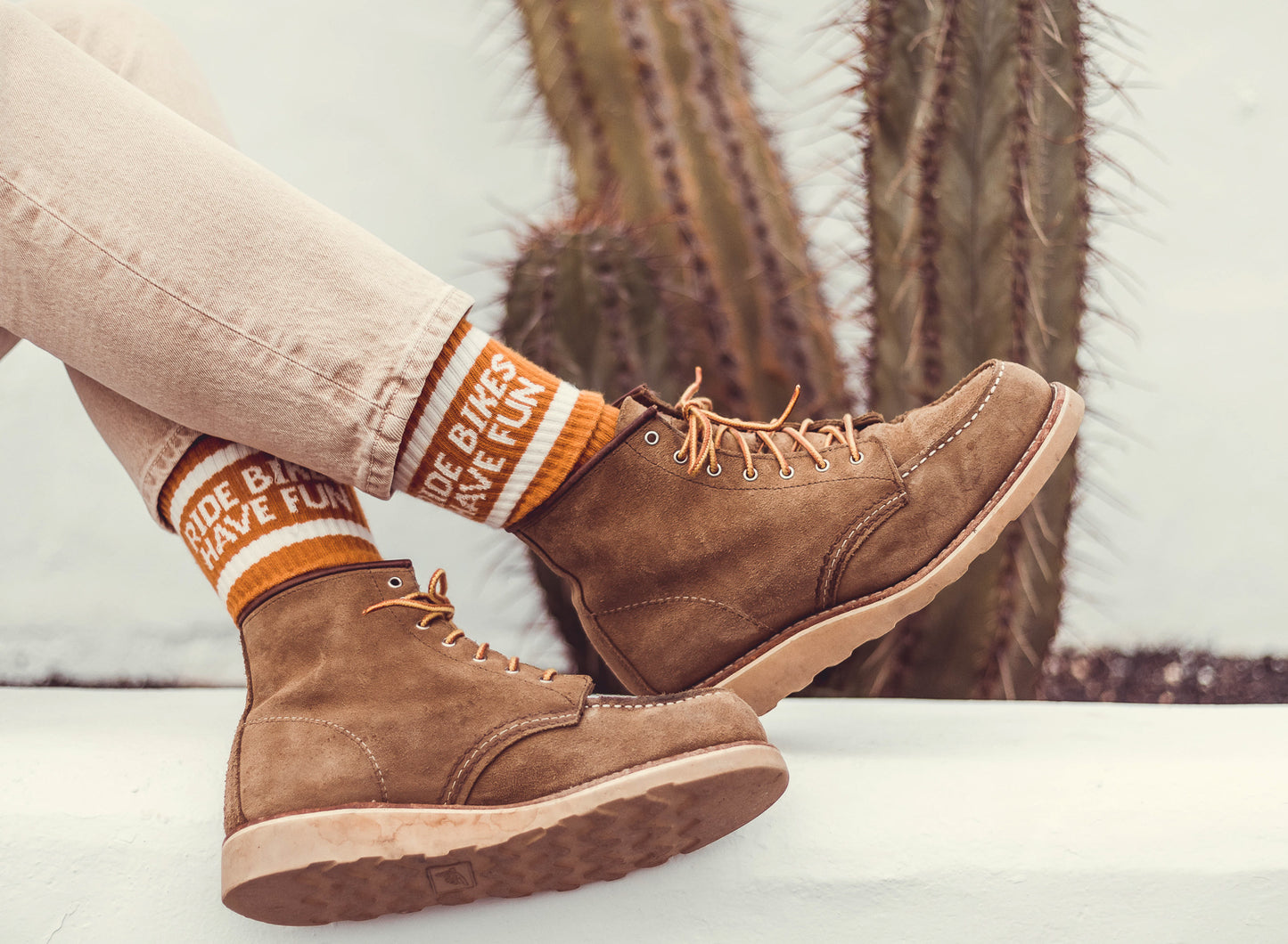 Ride Bikes Have Fun Socks